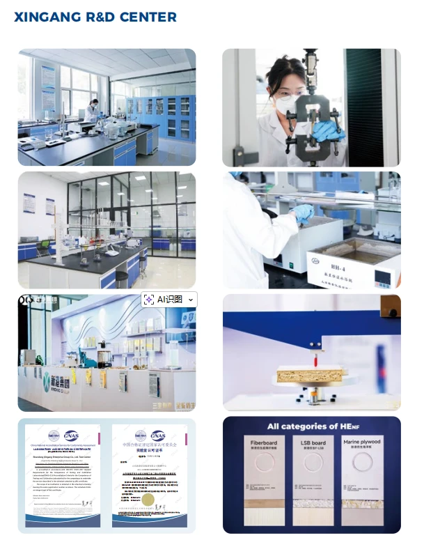 product-609-785 product-609-785
